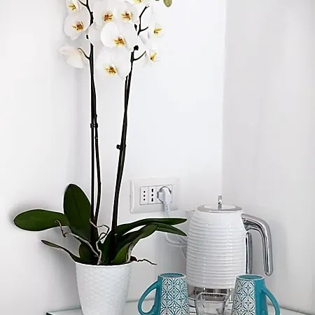 Aldarogi Bed and breakfast Capri