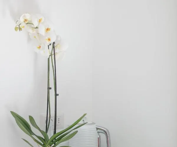 Bed & Breakfast Aldarogi Capri