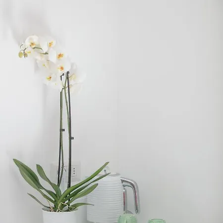 Bed & Breakfast Aldarogi Capri